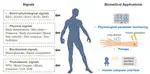 Flexible inorganic bioelectronics